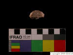 L_V23d3903 J4q85.1 U912 dM f43